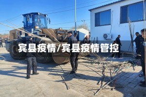 宾县疫情/宾县疫情管控