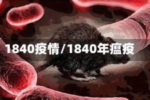 1840疫情/1840年瘟疫