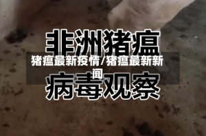猪瘟最新疫情/猪瘟最新新闻