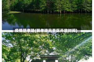疫情明孝陵(明孝陵风景区开放时间)