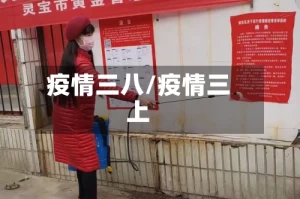 疫情三八/疫情三上