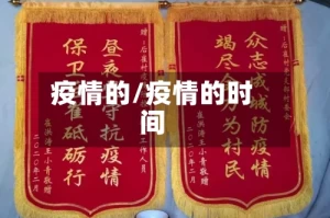 疫情的/疫情的时间