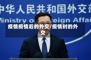 疫情疫情后的外交/疫情时的外交