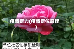疫情定力(疫情定位原理)