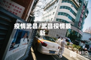 疫情武昌/武昌役情最新