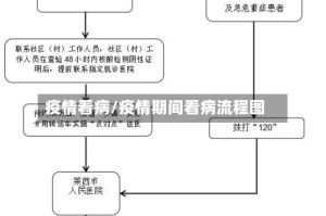 疫情看病/疫情期间看病流程图