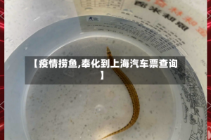 【疫情捞鱼,奉化到上海汽车票查询】