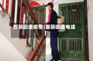 西丽街道疫情(西丽街道电话)