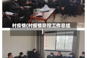 村疫情(村疫情防控工作总结)