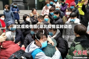 湖北瘟疫情图(湖北疫情实时动态)