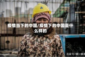 疫情当下的中国/疫情下的中国是什么样的