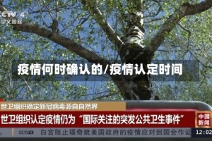 疫情何时确认的/疫情认定时间