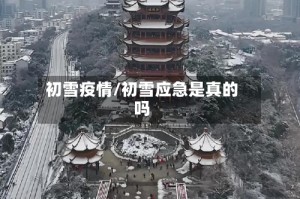 初雪疫情/初雪应急是真的吗