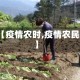 【疫情农时,疫情农民】