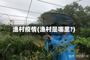 渔村疫情(渔村是哪里?)