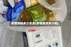 疫情消耗多少资金(疫情耗资多少钱)