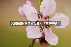 又见疫情/疫情又见春天作文800字