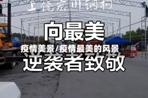 疫情美景/疫情最美的风景