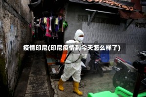疫情印尼(印尼疫情到今天怎么样了)