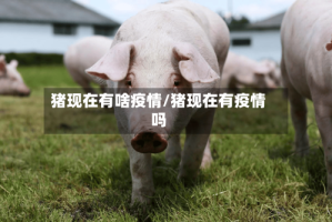 猪现在有啥疫情/猪现在有疫情吗