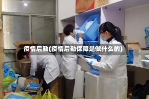 疫情后勤(疫情后勤保障是做什么的)