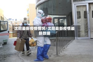 沈阳最新疫情情况/沈阳最新疫情最新数据