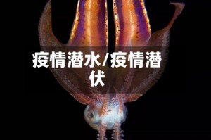 疫情潜水/疫情潜伏