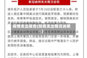 疫情支出报告(防疫支出情况说明)