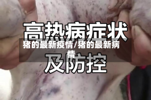猪的最新疫情/猪的最新病情