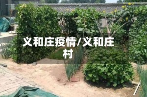 义和庄疫情/义和庄村