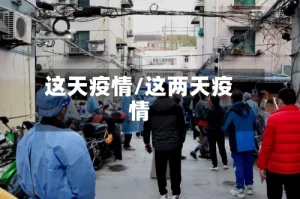 这天疫情/这两天疫情