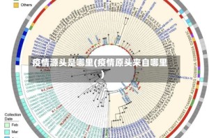 疫情源头是哪里(疫情原头来自哪里)