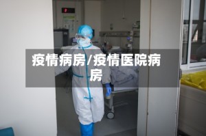 疫情病房/疫情医院病房