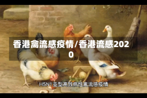 香港禽流感疫情/香港流感2020