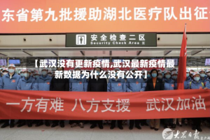 【武汉没有更新疫情,武汉最新疫情最新数据为什么没有公开】