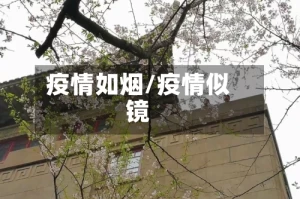 疫情如烟/疫情似镜