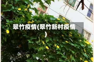 翠竹疫情(翠竹新村疫情)