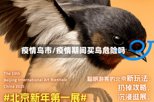 疫情鸟市/疫情期间买鸟危险吗