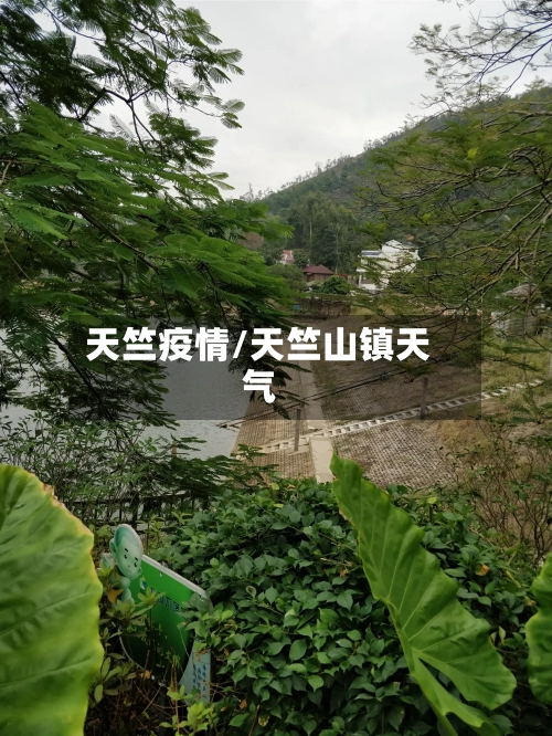 天竺疫情/天竺山镇天气-第1张图片