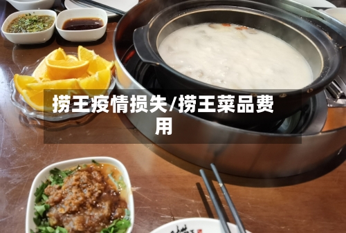 捞王疫情损失/捞王菜品费用-第1张图片