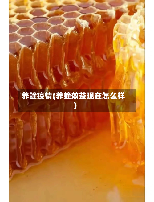 养蜂疫情(养蜂效益现在怎么样)-第2张图片