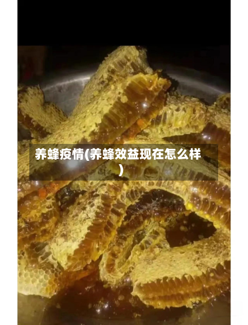 养蜂疫情(养蜂效益现在怎么样)-第1张图片