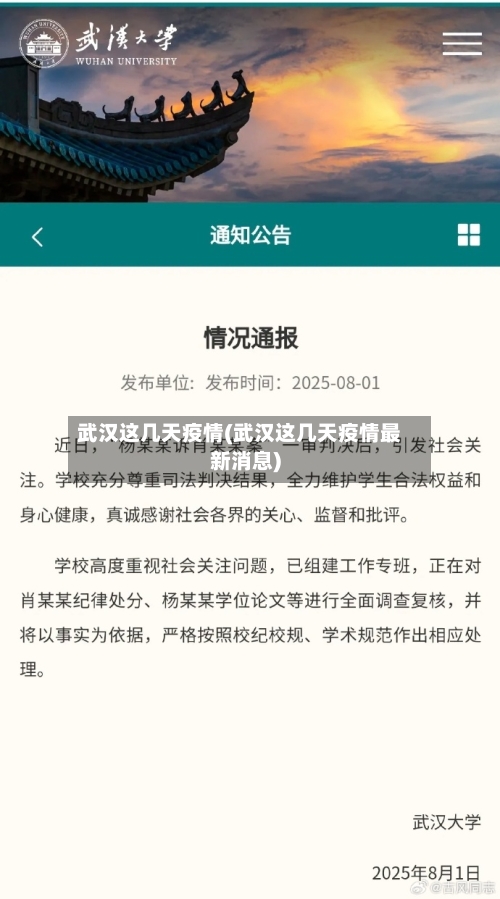 武汉这几天疫情(武汉这几天疫情最新消息)-第1张图片