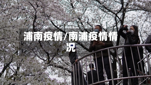 浦南疫情/南浦疫情情况-第1张图片