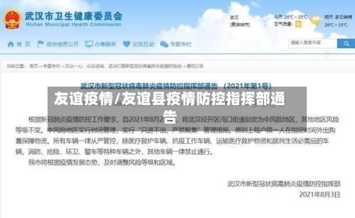 友谊疫情/友谊县疫情防控指挥部通告-第1张图片