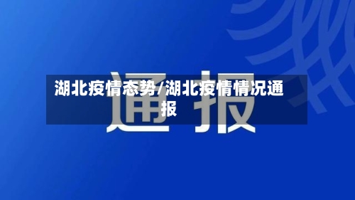 湖北疫情态势/湖北疫情情况通报-第1张图片