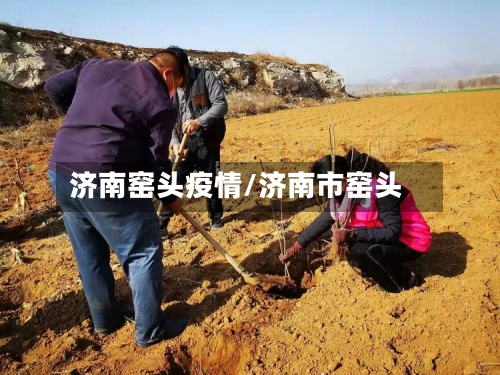 济南窑头疫情/济南市窑头-第1张图片