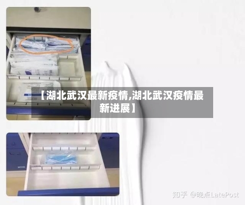 【湖北武汉最新疫情,湖北武汉疫情最新进展】-第1张图片