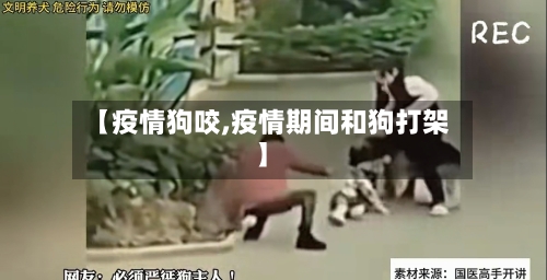【疫情狗咬,疫情期间和狗打架】-第1张图片