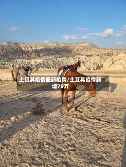 土耳其疫情最新疫情/土耳其疫情新增79万-第3张图片
